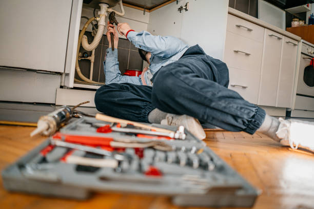 Best Water Softener Installation  in Elmwood Place, OH