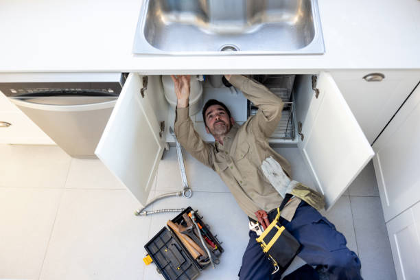 Best Clogged Drain Plumber  in Elmwood Place, OH